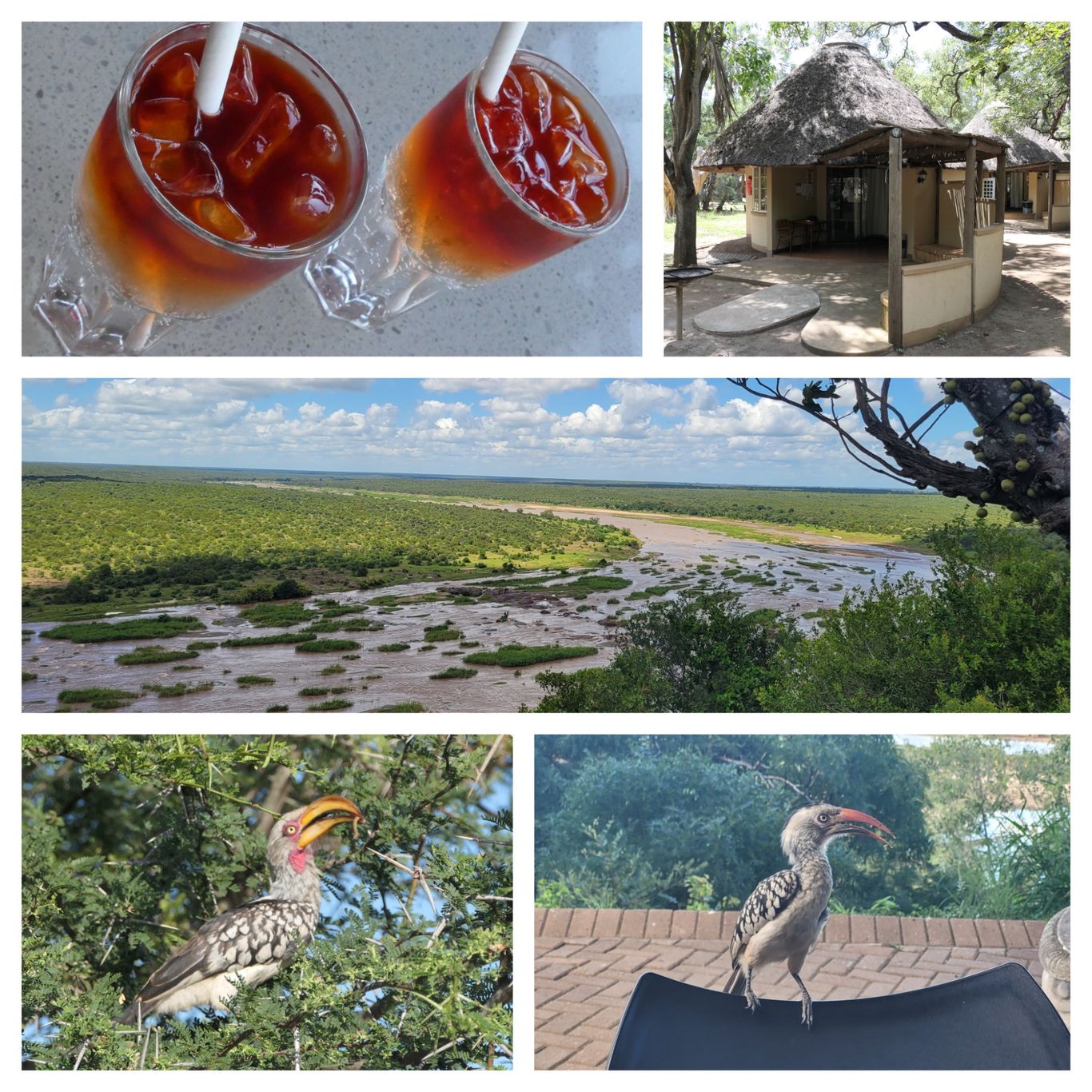 letaba