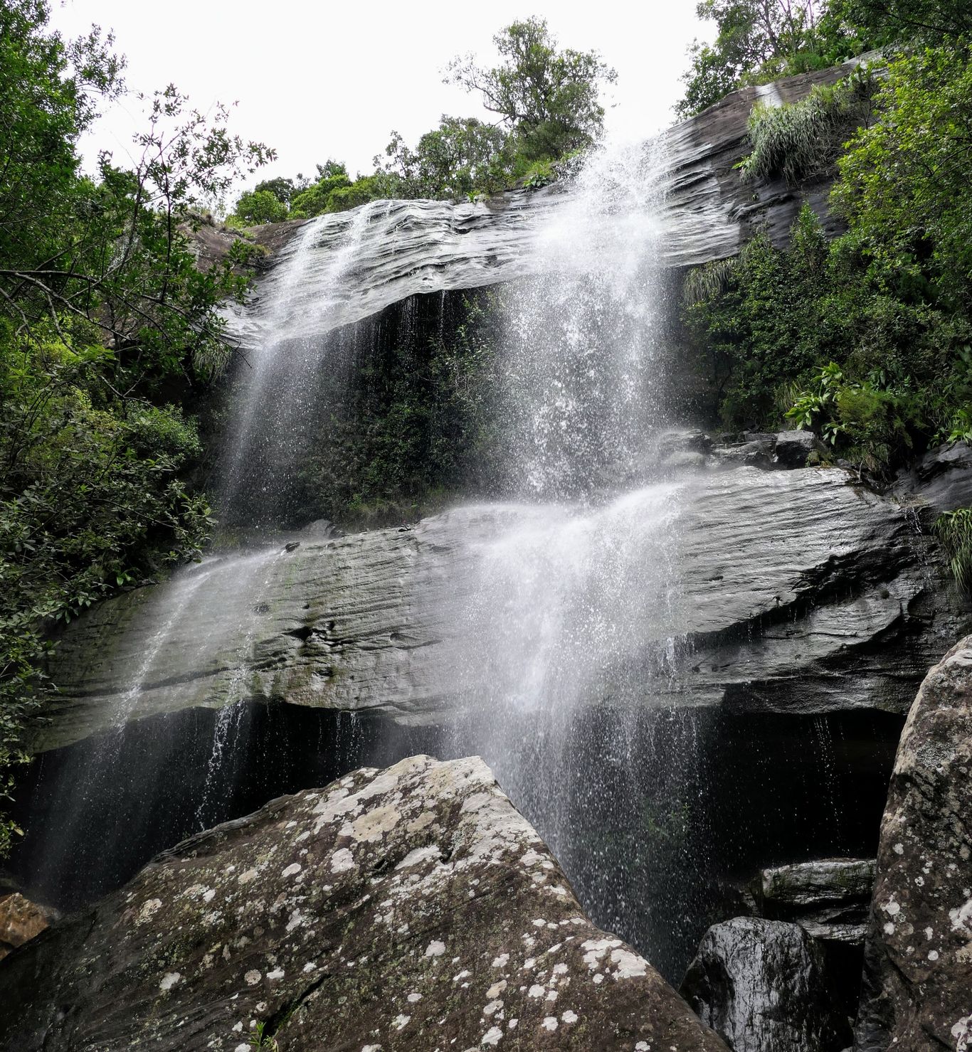 tiger falls