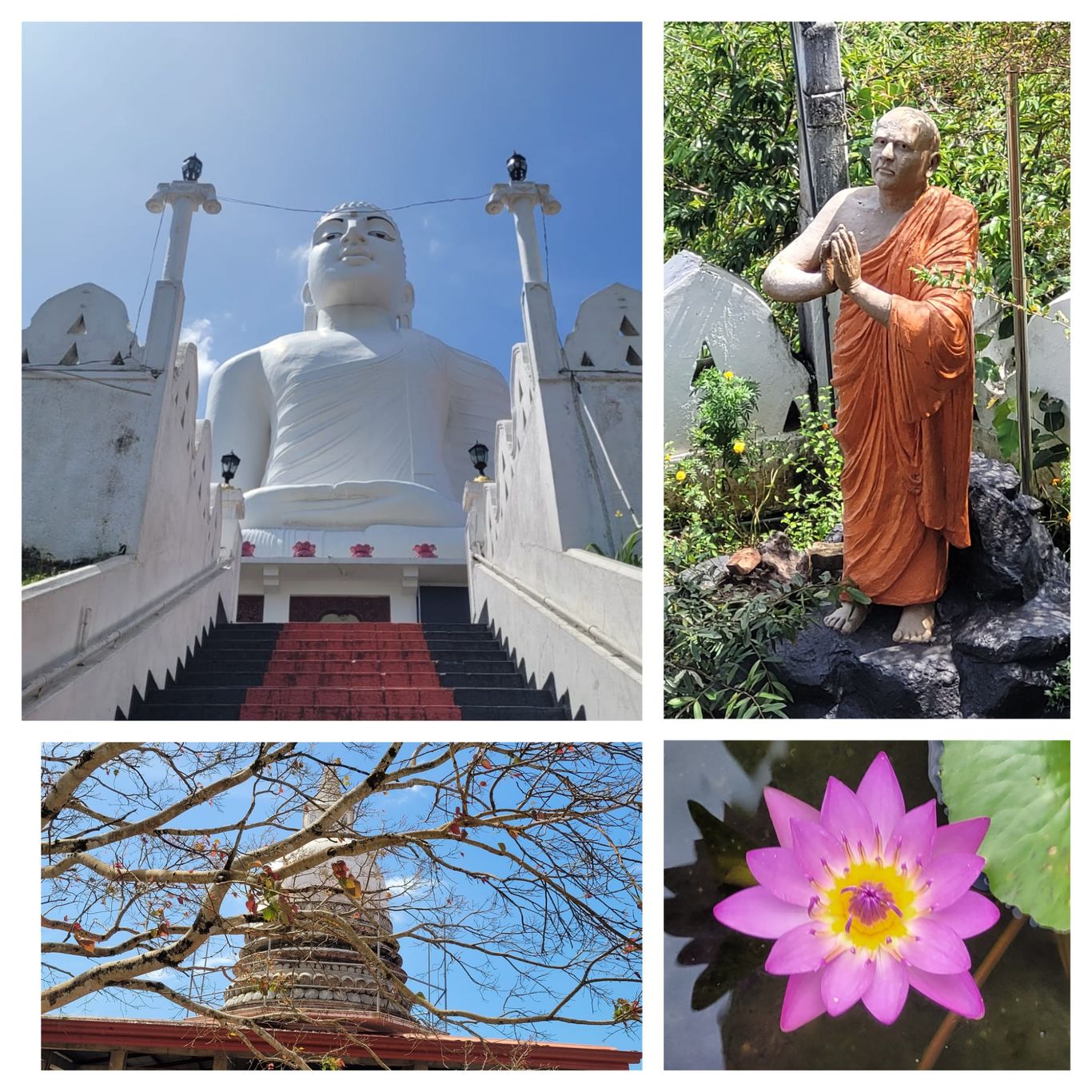 weißer buddha kandy
