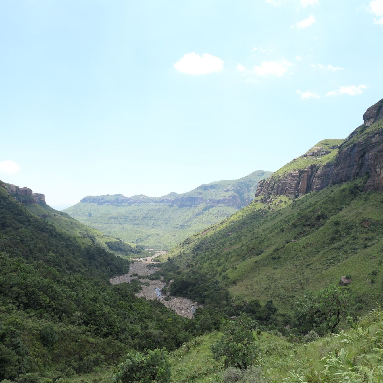 drakensberge