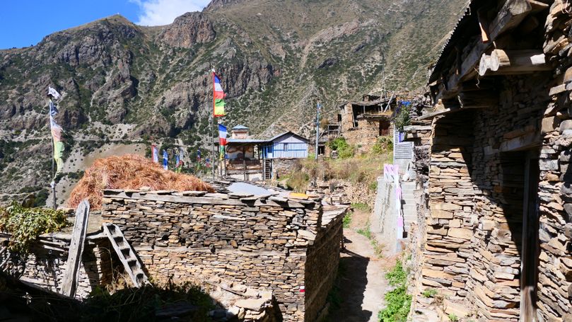 ghyaru