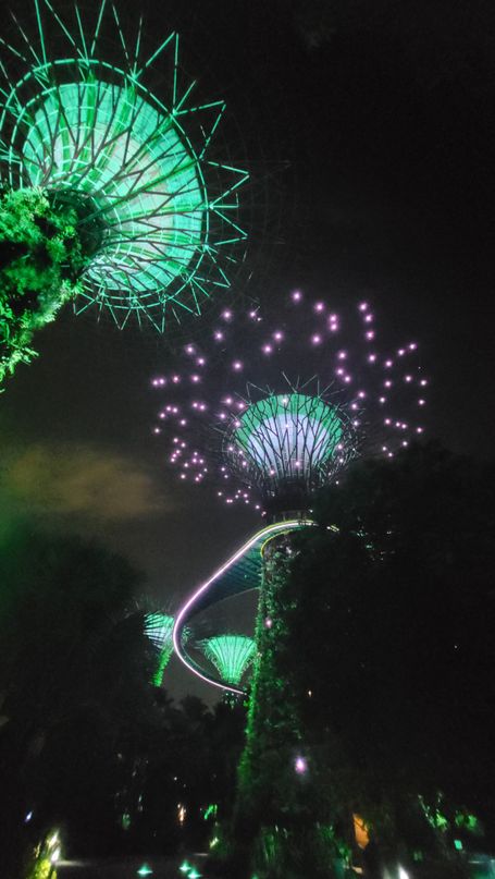 supertree grove singapur
