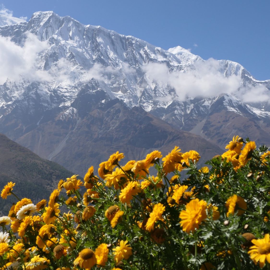 Berg Annapurna in Nepal