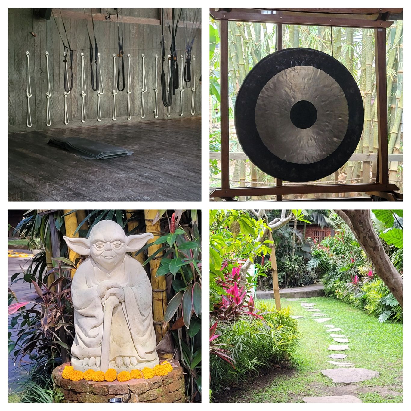 Yoga the barn in ubud