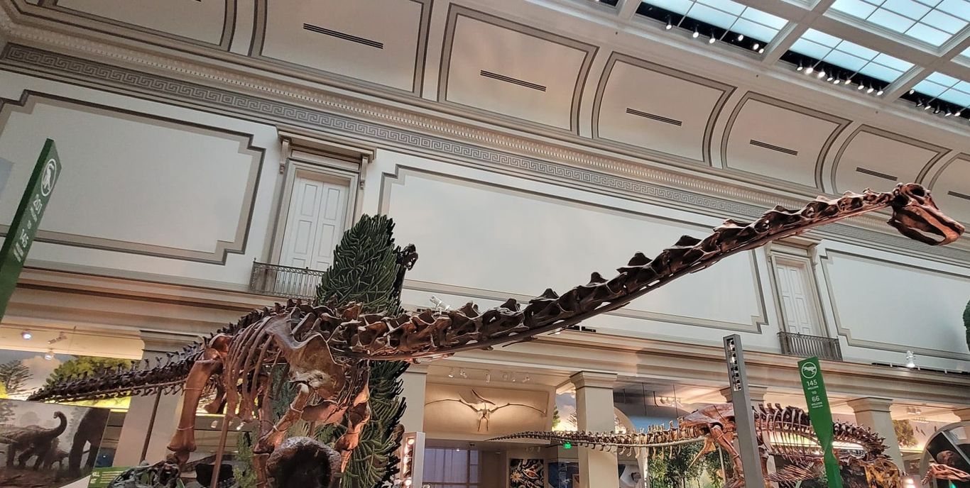 naturkundemusuem washington
