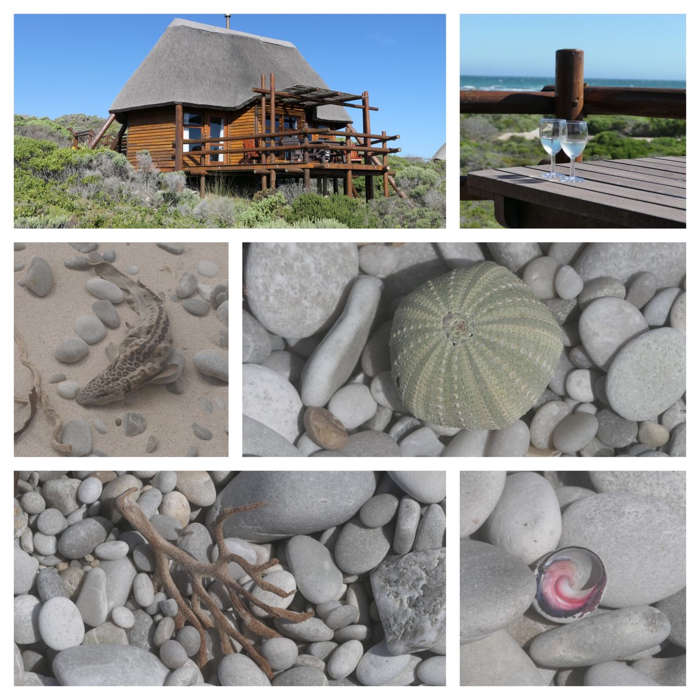 kap agulhas